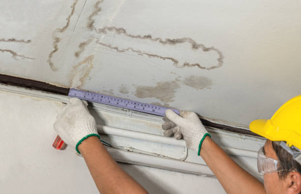 Reliable Water Damage contractor in Fremont, WI by Water Damage Irwin